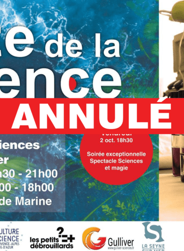 VDS ANNULE