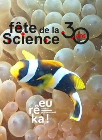 Comme une éponge... La beauté anime la science