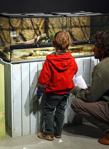 Térrarium observation d'animaux