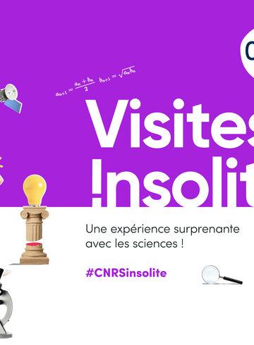 Les Visites insolites 2023