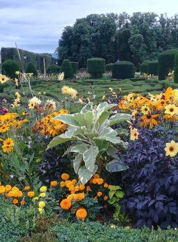Castres Jardin de l'éveché