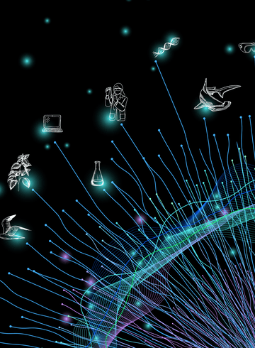 Image parcours immersifs à l'IRD