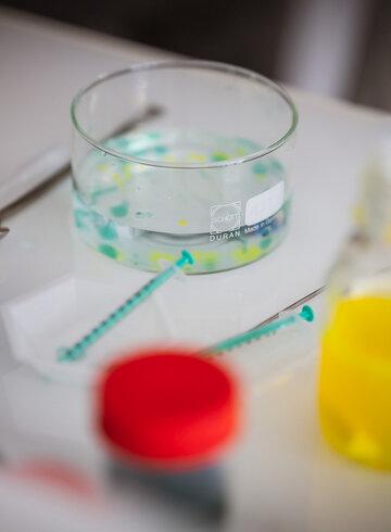 Atelier scientifique 