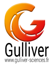 logo Gulliver