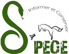 L'association S'PECE a été crée afin de sensibiliser à la protection de l'environnement et la conservation des espèces, à travers l'animation, la découverte de la biodiversité, et la réalisation d'action de suivis et de protection de la faune et flore.