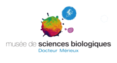 Logo Musée Mérieux