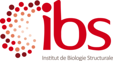 logo_IBS