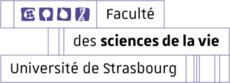 Logo Faculté des sciences de la vie