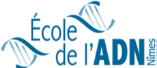 Logo EADN