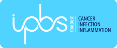 Logo de l'IPBS-Toulouse