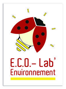 Logo ECO-Lab' Environnement - Coccinelle éclairée