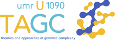 Theories and Approaches of Genomic Complexity
