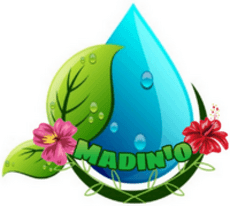 Projet Madin'O - Collège Rose SAINT-JUST - Académie de Martinique logo Madin'O
