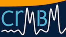logo CRMBM