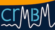 logo crmbm