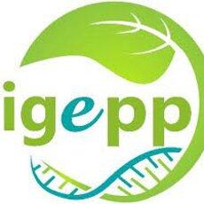 logo de l'IGEPP