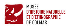 Musée d'histoire naturelle et d'ethnographie de Colmar