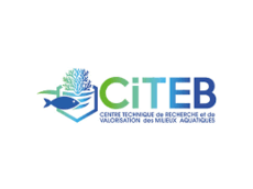 Logo CITEB