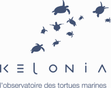 Logo Kélonia