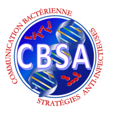 Logo CBSA