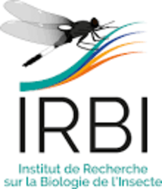 logo de l'IRBI