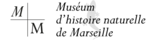 Logo Muséum