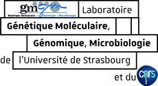 Génétique Moléculaire, Génomique, Microbiologie