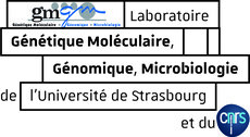 GMGM Génétique Moléculaire, Génomique, Microbiologie