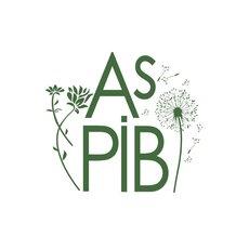 Logo ASPIB
