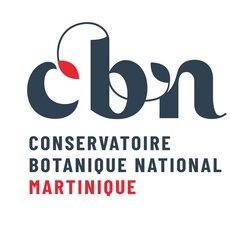 Logo CBN Martinique 