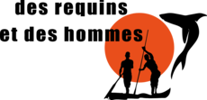 Logo de l'association représentant un soleil (orange) avec devant deux pêcheurs sur une pirogue. Un requin se trouve sur le côté droit du soleil.