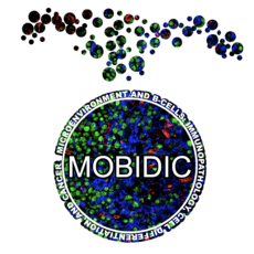 Mobidic