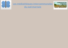 médiathèques 