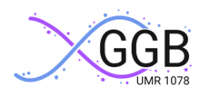 Inserm - Génétique, Génomique fonctionnelle et Biotechnologies (UMR1078)