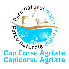 Parc naturel marin du Cap Corse et de l'Agriate : le plus grand parc naturel marin de métropole