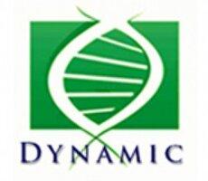 UMR Dynamic