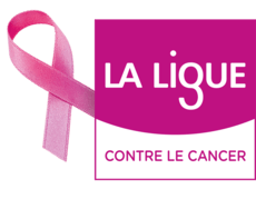 logo ligue octobre rose