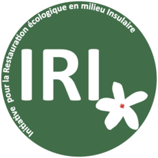 Logo IRI