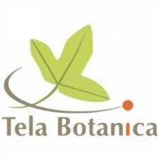 Logo Tela Botanica
