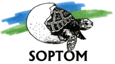 SOPTOM