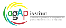 UMR Agap Institut
