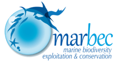 Logo de l'unité de recherche MARBEC - Marine Biodiversity, Exploitation et Conservation