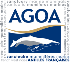 Logo du Sanctuaire Agoa