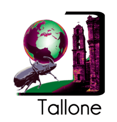 Logo Mairie Tallone