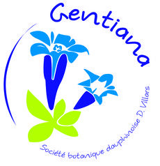 Logo Gentiana
