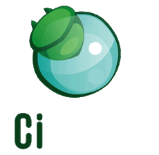 Logo CiTIQUE
