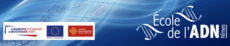 Logo Ecole de l'ADN