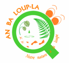 An ba loup-la