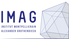 Logo de l'IMAG