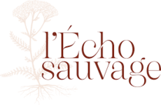 logo l'echo sauvage